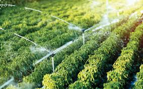海南乐东首个共享农庄开工 将采用水肥一体化智能灌溉系统